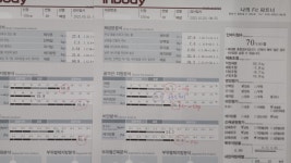 나의 Fit 파트너