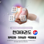현대태권도장