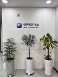 세무법인다솔티앤씨 원주