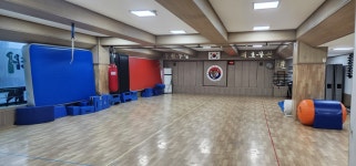 대호합기도 해동검도