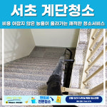 앤트비