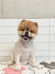 멍또와