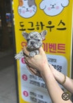 김해도그하우스 외동점