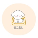 도그언니