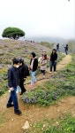 장자교회