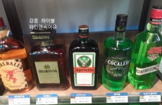 와인앤비어유