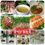 베데스다코리아