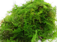 이끼팜영농조합법인