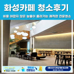 앤트비
