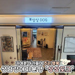 상상도그