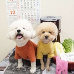 애견호텔 맘바이 김해점