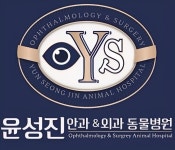 윤성진 안과외과 동물병원