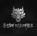 용인대 미르태권도