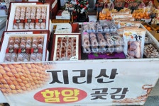 고려농산 동학사점