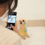 애견호텔 맘바이 김해점