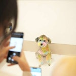 애견호텔 맘바이 김해점