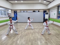 용인대힘찬태권도