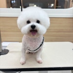 더아낌
