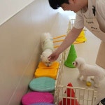 애견호텔 맘바이 김해점