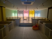 피카디리애견호텔