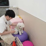 애견호텔 맘바이 김해점