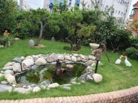 자연숲어린이집