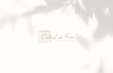 컬러랩이음 퍼스널컬러 컬러테라피 향수공방