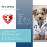 24시팔용feel동물병원