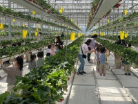 농업회사법인 그린케이팜