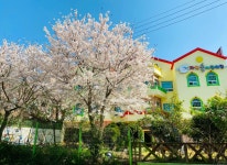 자연숲어린이집