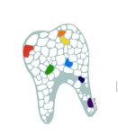 림플란트치과의원