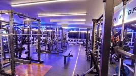 알앤비휘트니스