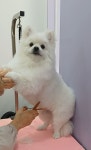 꾸앤쏭