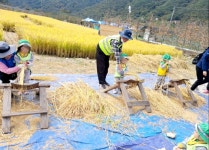 롯데캐슬어린이집
