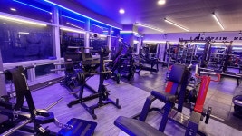 알앤비휘트니스