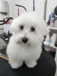 까미랑몽이