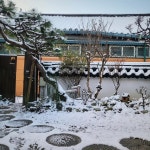 푸른요람