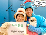 야옹아 멍멍해봐 강아지고양이 평택점