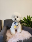 랄라몽