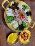 모이세