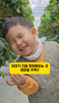 양주르딸기농장