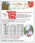 백씨네과수원