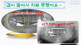 화이트치과의원
