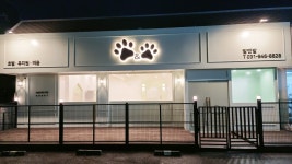 발앤발 애견호텔