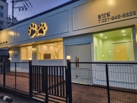 발앤발 애견호텔