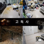 머문자리 분당점 고독사 유품정리 특수청소