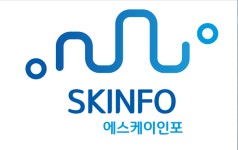 에스케이인포