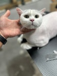 함께냥 본점