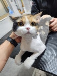 함께냥 본점