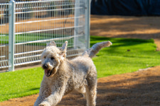 여수 시바별장 애견펜션